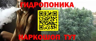 круглые Новодвинск