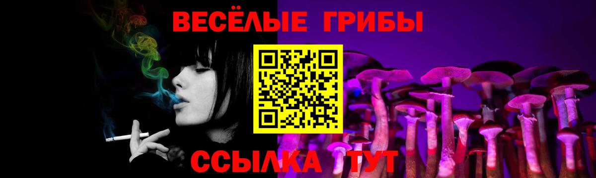 где купить наркоту  Шебекино  Псилоцибиновые грибы ЛСД 