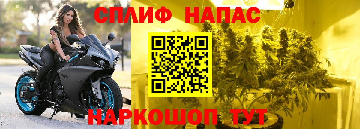 Канабис Ganja  МАРИХУАНА гибрид  Шебекино  Бошки Шишки LSD WEED 